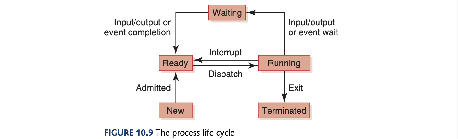 Process Life Cycle